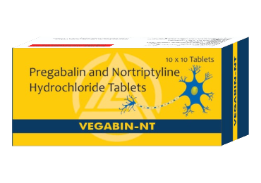 VEGABIN-NT